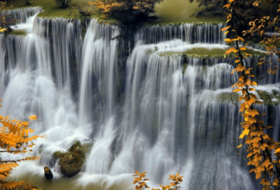 ​多肉植物的心情语录 【有关多肉心情语录】