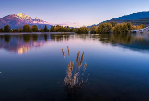 1755790183810696.png image.png