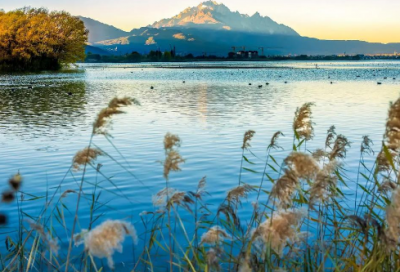 ​魔卡少女樱经典语录 【魔卡少女樱 经典台词】