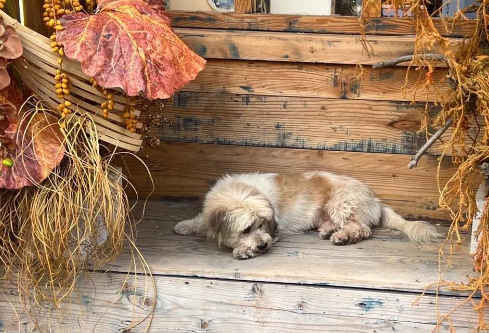 1760638351509380.png image.png