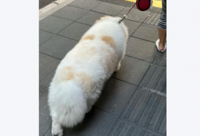 ​对顾客用的晚安心语 销售晚安语录正能量