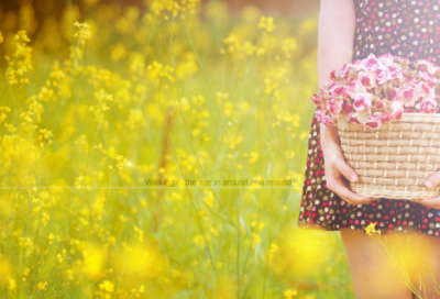 ​天乩之白蛇传说经典语录74句