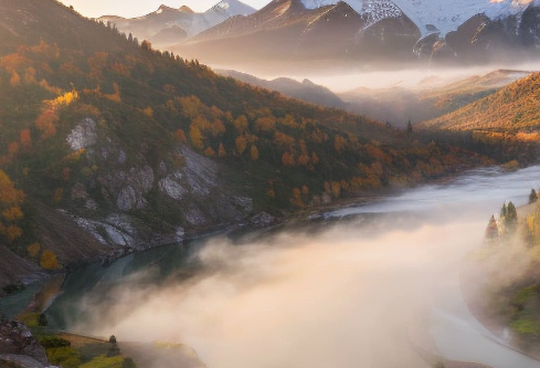 1765903491238932.png image.png