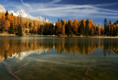 ​关于建团100周年美好祝福语120句（精选）