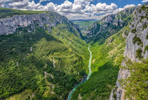 1765911235318053.png image.png