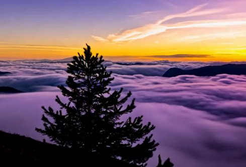 1765913232430455.png image.png