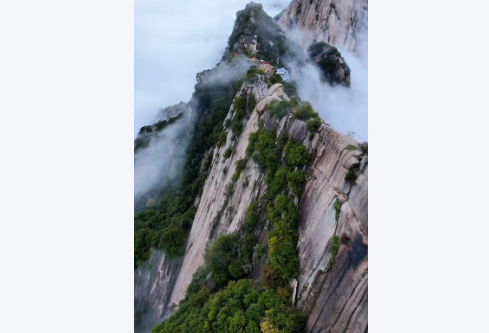 1765913399712534.png image.png