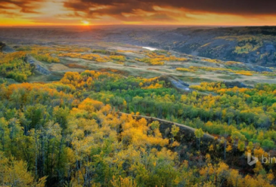 ​关于2026五一劳动节贺卡祝福语100句