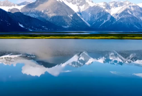 1765914396738901.png image.png