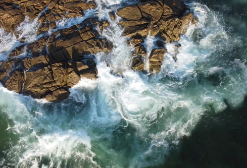 1765914562681287.png image.png