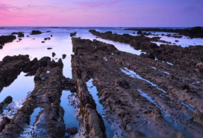 ​教师节祝福暖心唯美的文案语句（精选推荐）