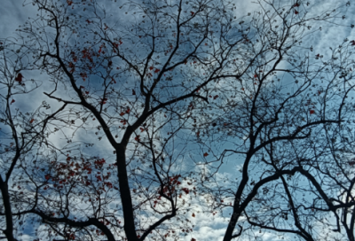 ​关于国际劳动节贺卡祝福语2026