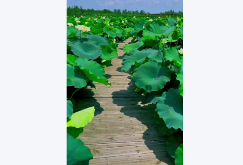 1765915561456519.png image.png