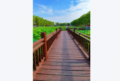 ​2026感恩节暖心祝福语句子（精选）