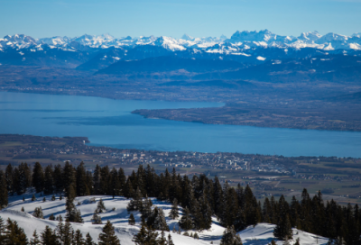 ​虎年走心的祝福文案（100句）