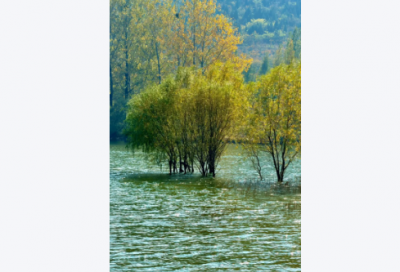 ​2026平安夜祝福文案大全