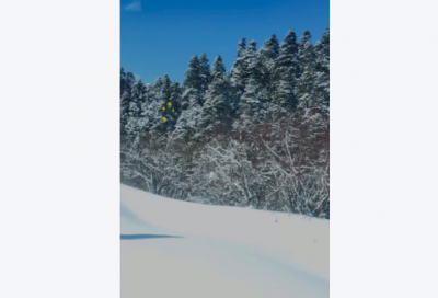 ​2026虎年寄语祝福语文案走心（100句）