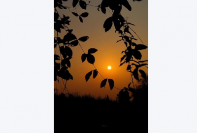 ​关于2026清明节的祝福语句子简短