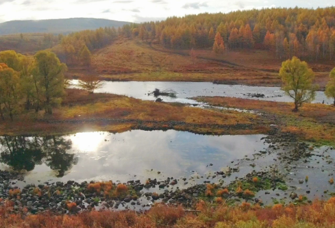 1765919554430035.png image.png