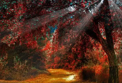 1765919886586929.png image.png