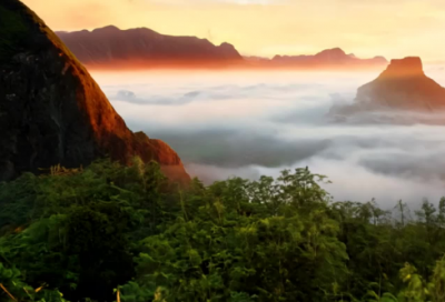 ​2026年虎年精彩的拜年祝福语（100句）