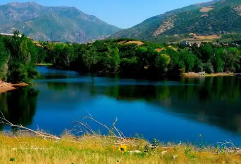 1765921384675612.png image.png