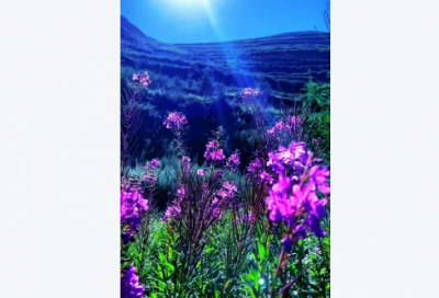 ​2026新年祝福语儿童版顺口溜