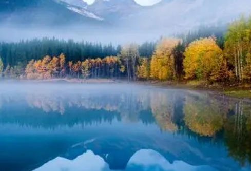 1765925542540922.png image.png