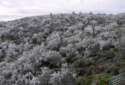 ​2026年中秋节祝福语文案