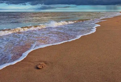 ​2026兔年简短祝福语 2026兔年贺卡祝福语30字