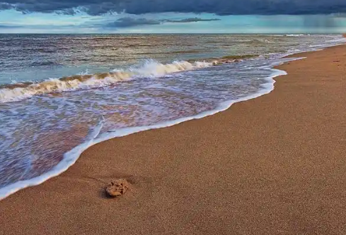 1765926207488247.png image.png