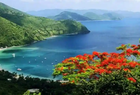 1765926539642538.png image.png