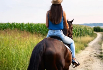 ​给阿姨的生日祝福语44句