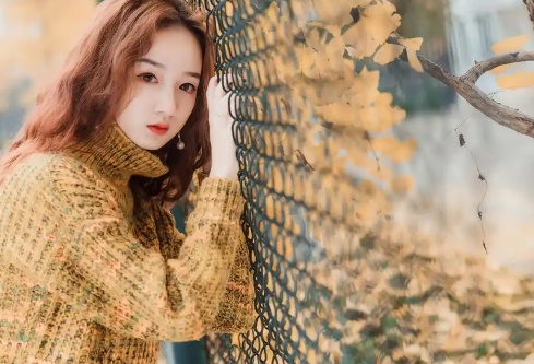 1767099647471155.png image.png