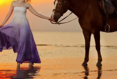 ​实用的唯美情感语录